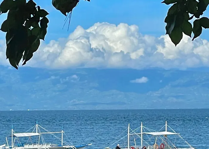 The Shuim Dive * Moalboal