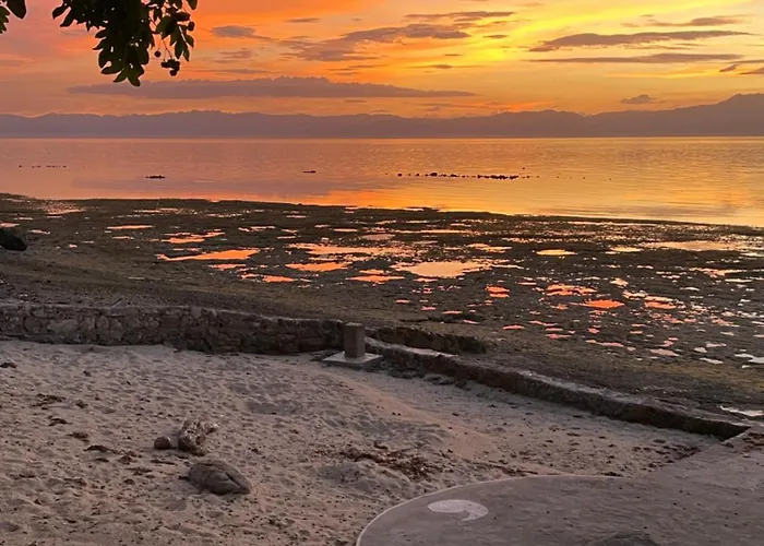 The Shuim Dive Moalboal