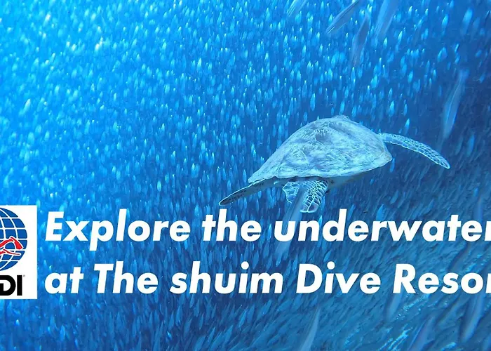 The Shuim Dive Moalboal