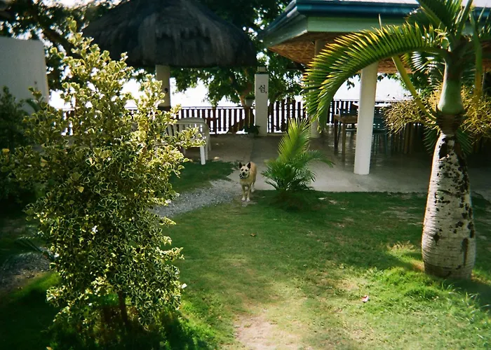 Hotel The Shuim Dive