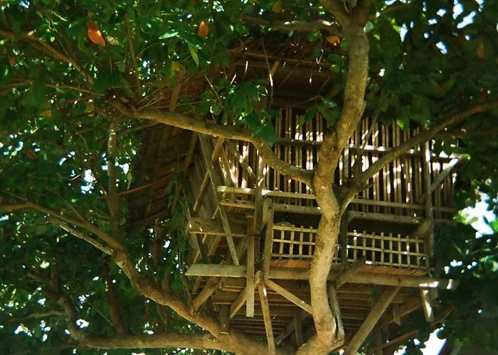 Hotel The Shuim Dive *