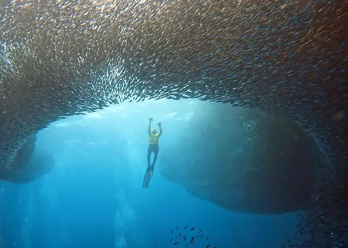 The Shuim Dive Moalboal